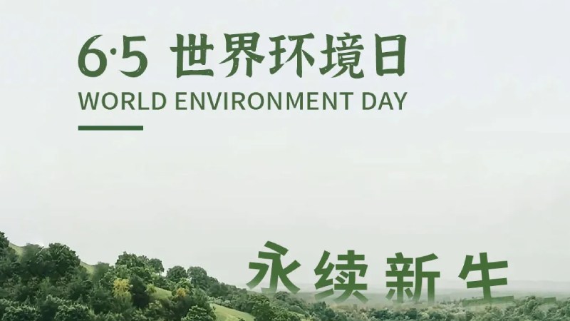 世界环境日丨一根纱线能对地球做什么？